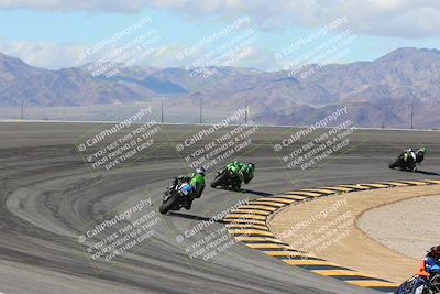 media/Feb-04-2024-SoCal Trackdays (Sun) [[91d6515b1d]]/4-Bowl Backside (11am)/